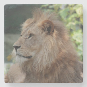 Lion 035 stone coaster