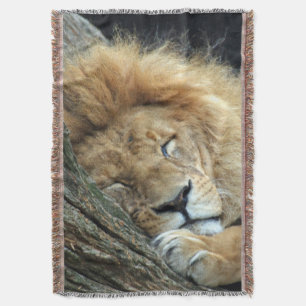 Lion 036 throw blanket