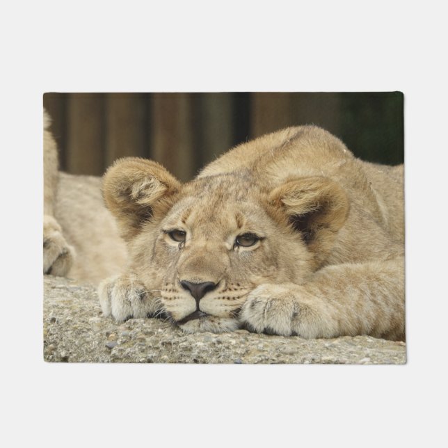 Lion 040 doormat (Front)