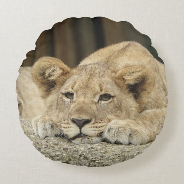 Lion 040 round cushion (Front)