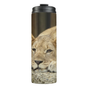 Lion 040 thermal tumbler