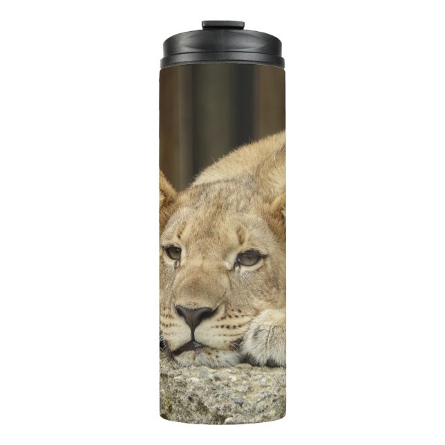 Lion 040 thermal tumbler (Front)