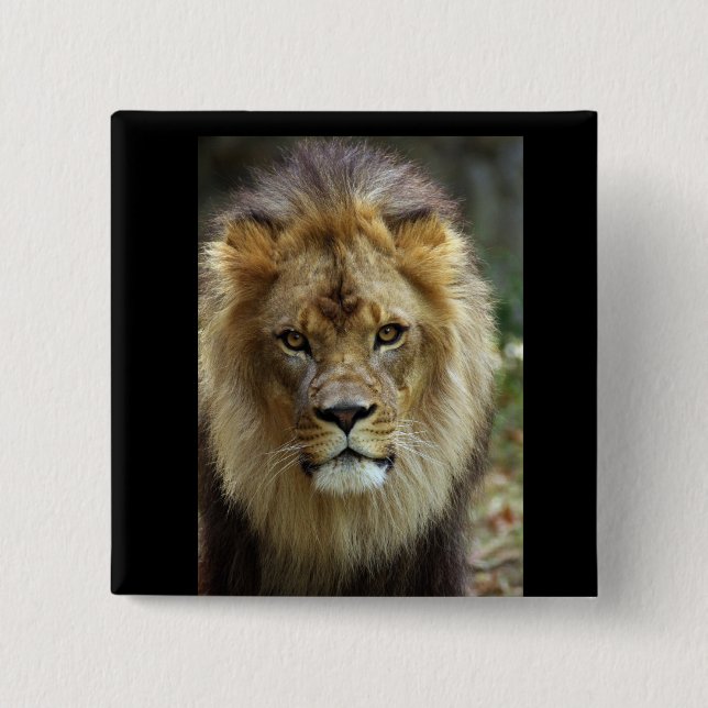 Lion 15 Cm Square Badge (Front)