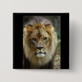 Lion 15 Cm Square Badge