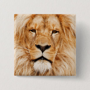 Lion 15 Cm Square Badge