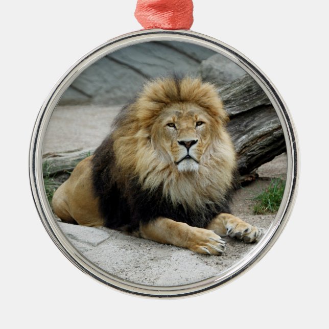 Lion 2014-1001 metal tree decoration (Front)
