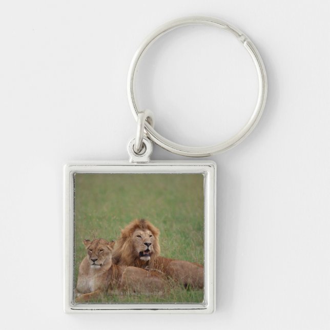 Lion 2 key ring (Front)