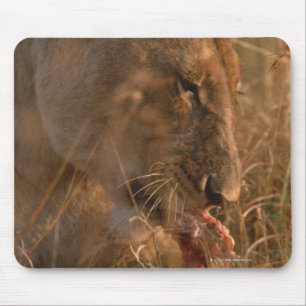 Lion 3 mouse mat