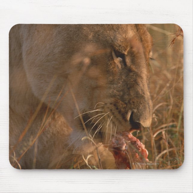 Lion 3 mouse mat (Front)