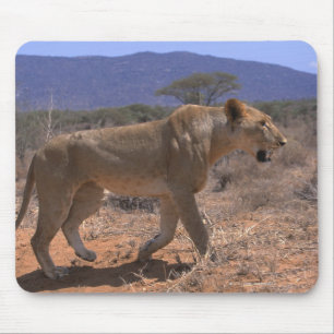 Lion 3 mouse mat