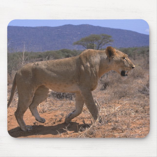 Lion 3 mouse mat (Front)