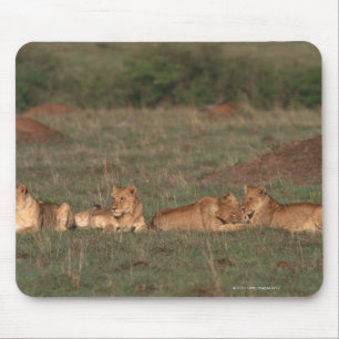 Lion 4 mouse mat
