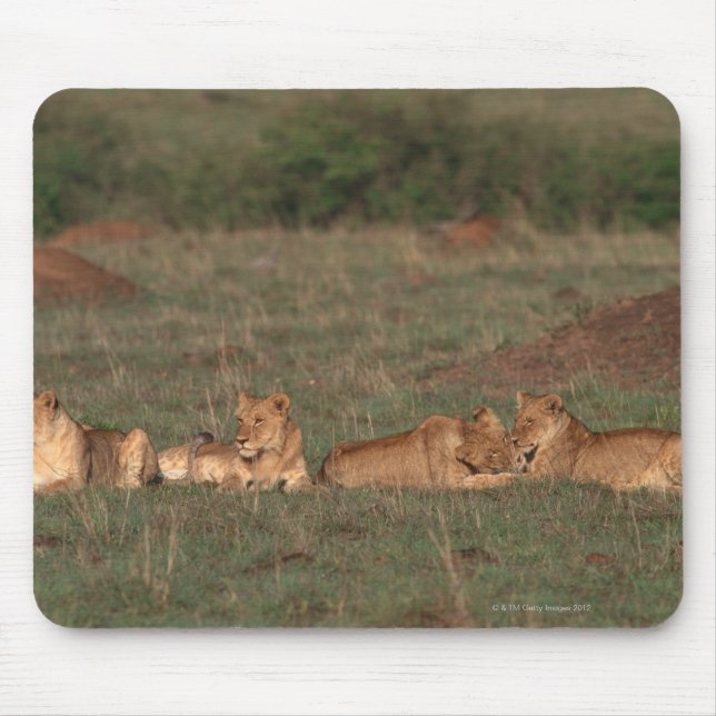 Lion 4 mouse mat (Front)