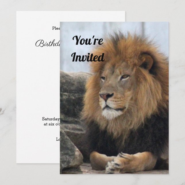 Lion 6880 Birthday Invitation (Front/Back)
