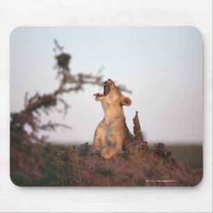Lion 7 mouse mat