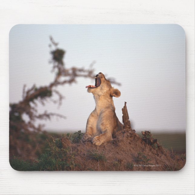 Lion 7 mouse mat (Front)