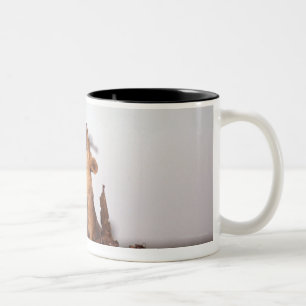 Lion 7 Two-Tone coffee mug
