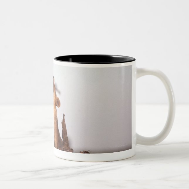 Lion 7 Two-Tone coffee mug (Right)