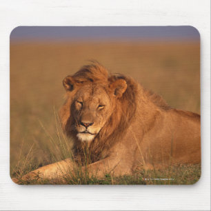 Lion 8 mouse mat