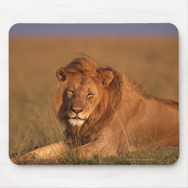 Lion 8 mouse mat (Front)
