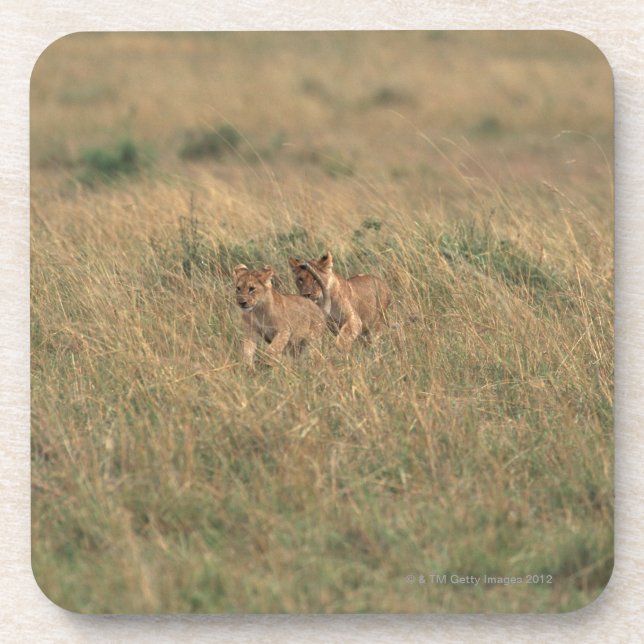 Lion 9 coaster (Front)