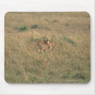 Lion 9 mouse mat