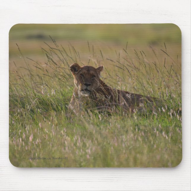 Lion Africa Savannah Mouse Mat (Front)