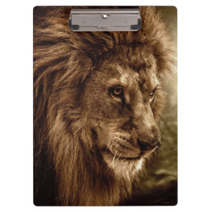 Lion against stormy sky clipboard