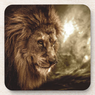 Lion against stormy sky coaster