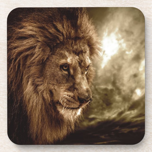 Lion against stormy sky coaster (Front)