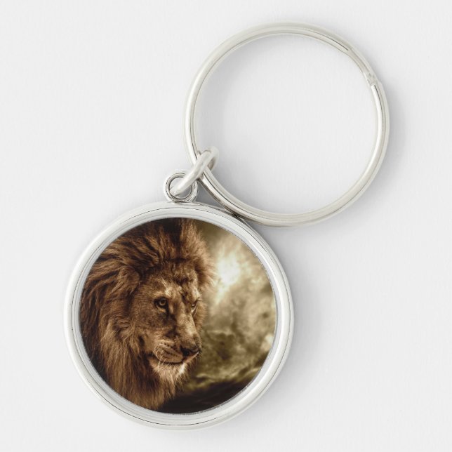 Lion against stormy sky key ring (Front)