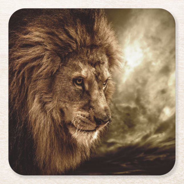 Lion against stormy sky square paper coaster (Front)