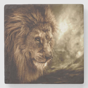 Lion against stormy sky stone coaster