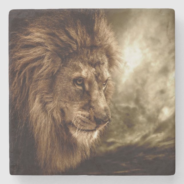 Lion against stormy sky stone coaster (Front)