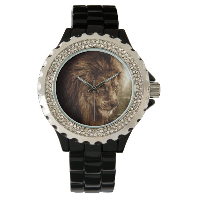 Lion against stormy sky watch (Front)