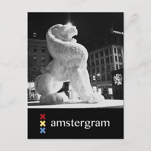 Lion Amstergram Postcard (Front)