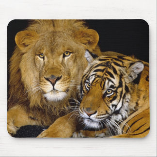 lion and a tiger mouse mat