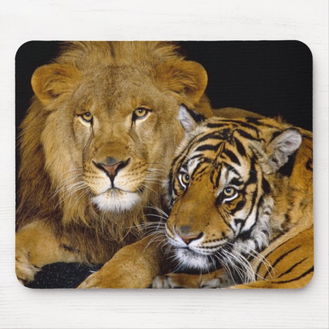 lion and a tiger mouse mat (Front)