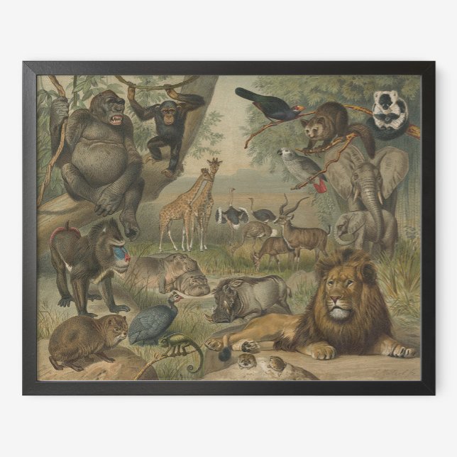 Lion and Animal Friends in Africa Poster (Creator Uploaded)