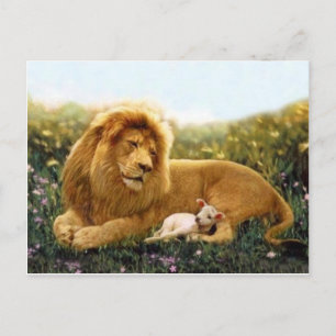 Lion and Lamb Postcard