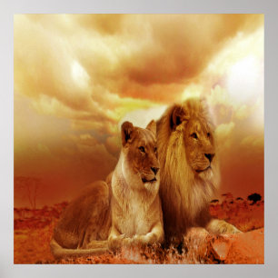 Lion and Lioness 24" x 24", Value Poster Paper