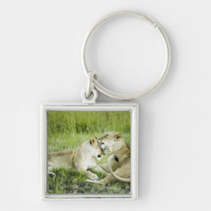 Lion and lioness, Africa 2 Key Ring