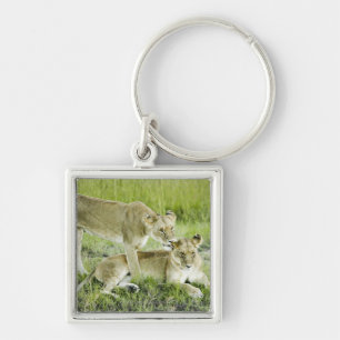 Lion and lioness, Africa Key Ring