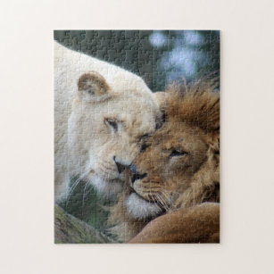 Lion and Lioness Jigsaw Puzzle