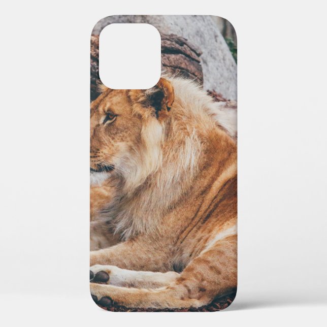 LION AND LIONESS LYING ON BROWN SURFACE Case-Mate iPhone CASE (Back)