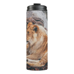 LION AND LIONESS LYING ON BROWN SURFACE THERMAL TUMBLER