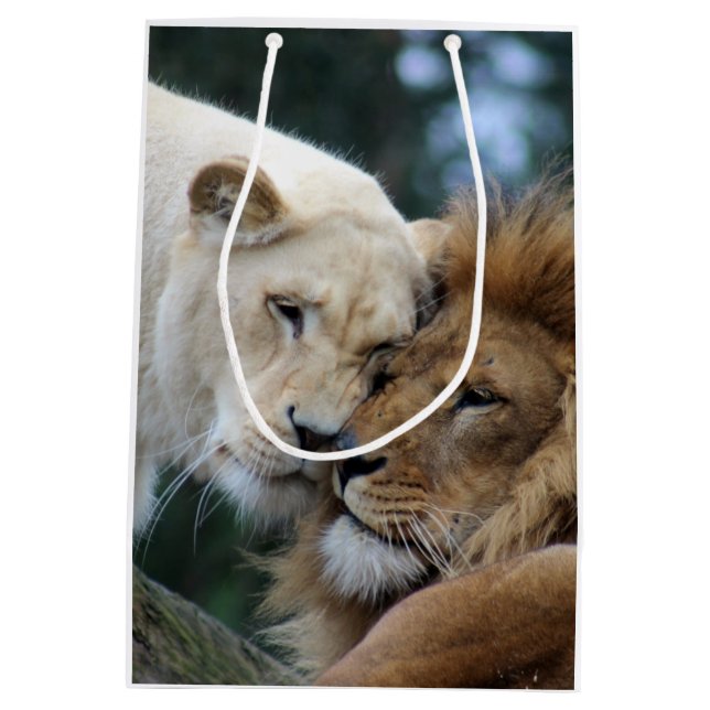 Lion and Lioness Medium Gift Bag (Back)