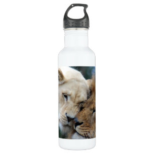 Lion and Lioness Nuzzling 710 Ml Water Bottle