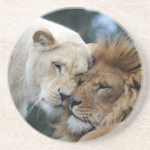 Lion and Lioness Nuzzling Coaster