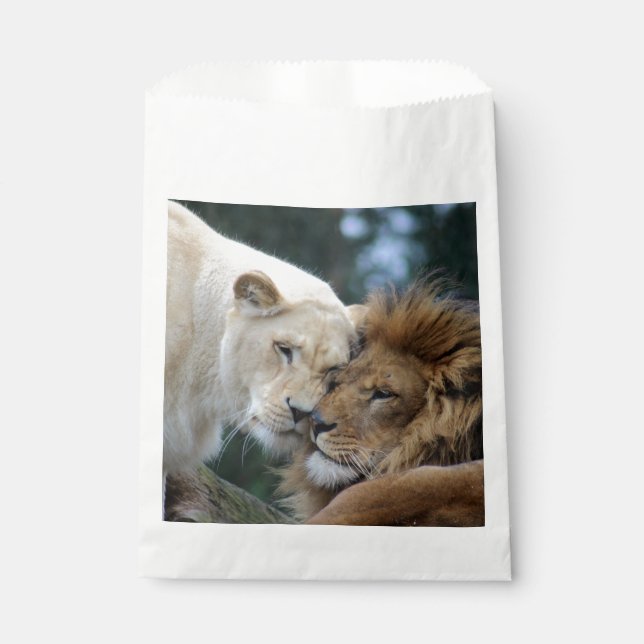 Lion and Lioness Nuzzling Favour Bags (Front)